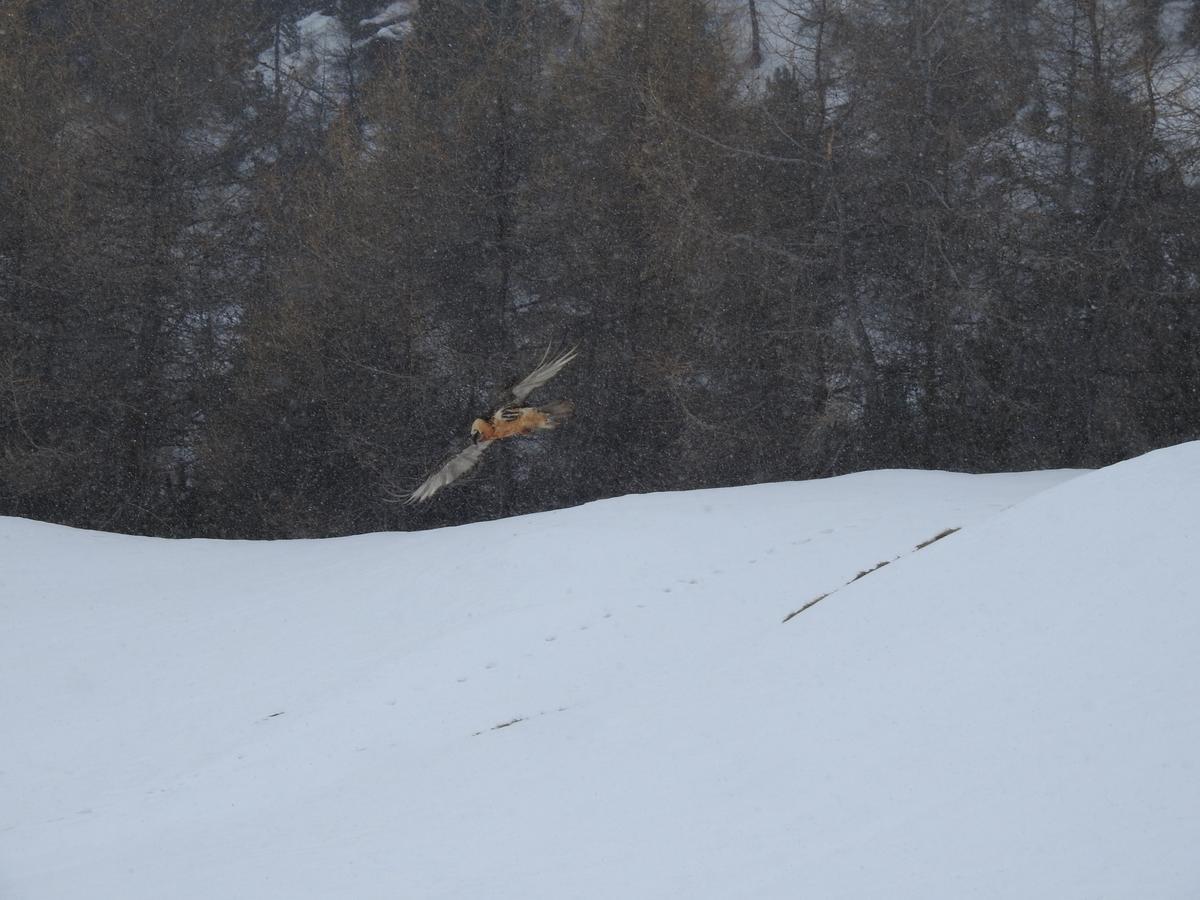 Baita Laura Livigno Buitenkant foto